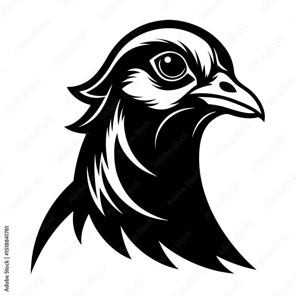 Obraz premium Pencil Sketch Black and White Emu Head Detail