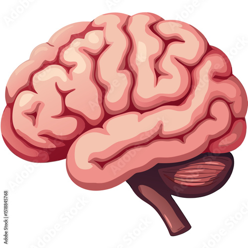 Illustration of a human brain structure isolated with black background for medical visuals
