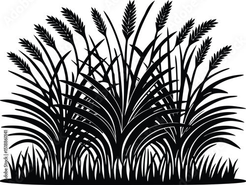 Seamless grass silhouette vector, Grass field border isolated, Silhouette of cattails and reeds. Wild grass on the river bank. Swamp coastal plants. vector illustration