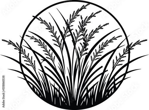Seamless grass silhouette vector, Grass field border isolated, Silhouette of cattails and reeds. Wild grass on the river bank. Swamp coastal plants. vector illustration