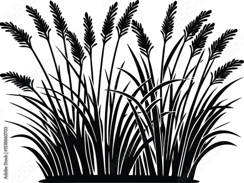 Seamless grass silhouette vector, Grass field border isolated, Silhouette of cattails and reeds. Wild grass on the river bank. Swamp coastal plants. vector illustration