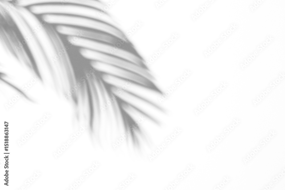 Obraz premium Palm leaf shadow overlay effect,tropical leaves shadows isolated on transparent png background