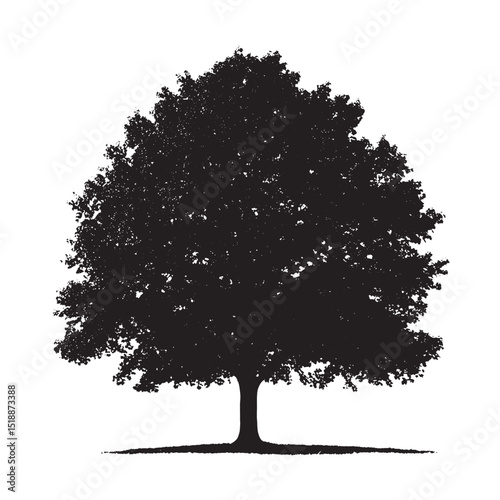 Canadian Maple Tree Black Silhouette