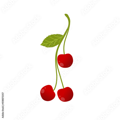 Illustration of red cherries. Illustration of red cherries with green leaves and twig. Flat design Red cherry fruit illustration with branches