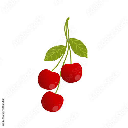Illustration of red cherries. Illustration of red cherries with green leaves and twig. Flat design Red cherry fruit illustration with branches