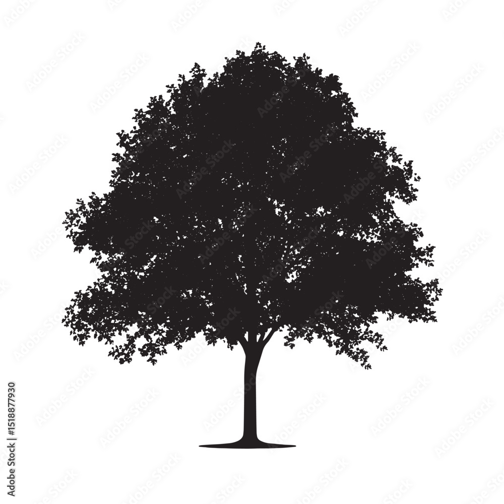 Fototapeta premium Maple Tree Silhouette Art on White