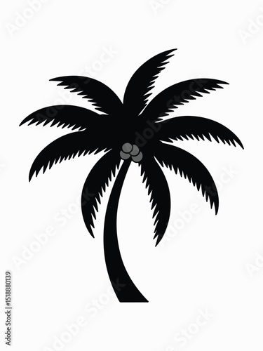 palm tree silhouette vector