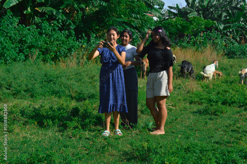 Fototapeta premium One girl takes her turn holding the phone to take a group selfie near grazing goats in the field.