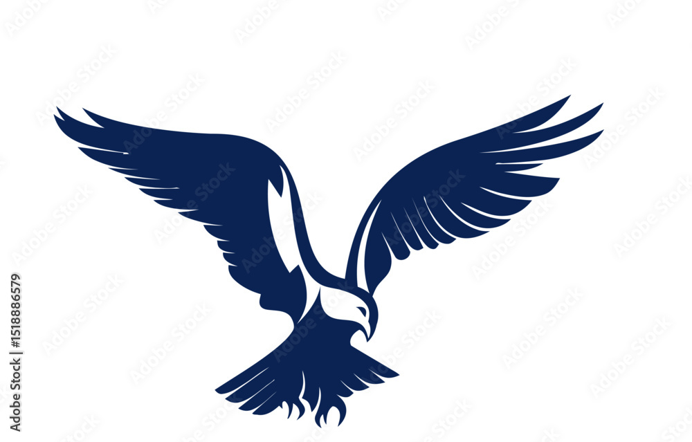 Fototapeta premium eagle in flight