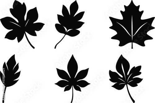 Black and White Vector Silhouette Collection of Various Autumnal Leaves