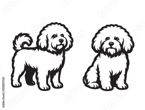 Cute black and white vector illustration of two fluffy Bolognese dogs, one standing and one sitting. Ideal for pet designs, prints, and mascot art. Animals.