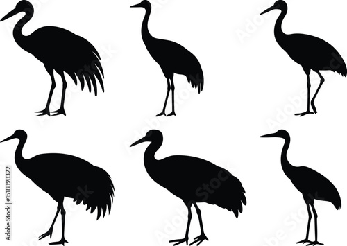 Six elegant black crane silhouettes in a minimalist arrangement on white background
