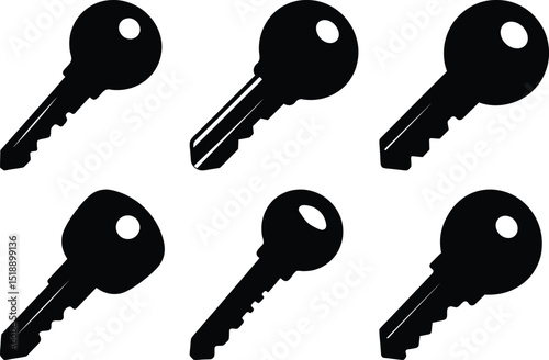 A collection of differently styled black keys against a white background