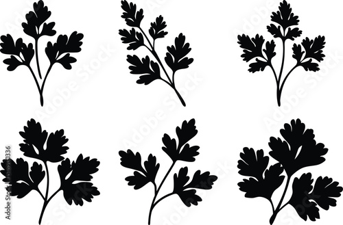 Silhouetted parsley bunches offer a versatile culinary and decorative element