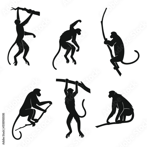 Silhouette collection of monkeys in different poses climbing and sitting on branches vector illustration