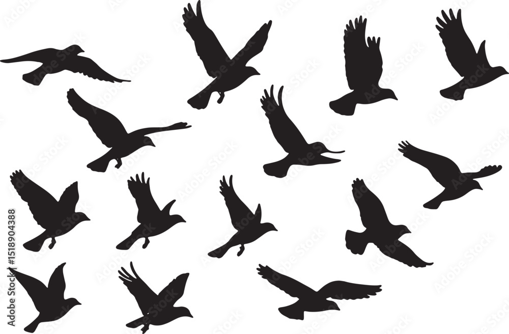 Obraz premium set of silhouettes of birds