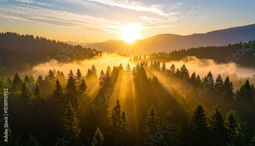 A breathtaking sunrise illuminates a serene forest, casting rays of light through the mist and highlighting the lush greenery of ancient trees.