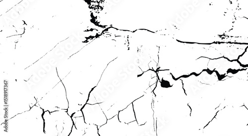 Dry soil surface ground cracks background texture vector illustration white and black stock illustration