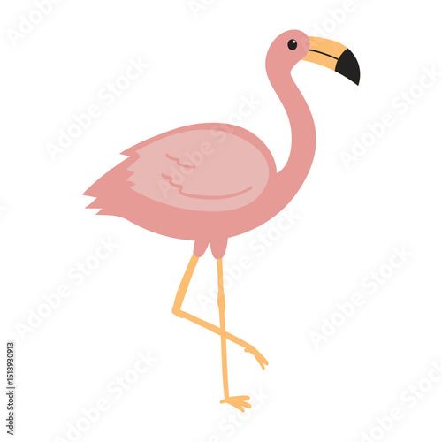 Illustration of a Pink Flamingo