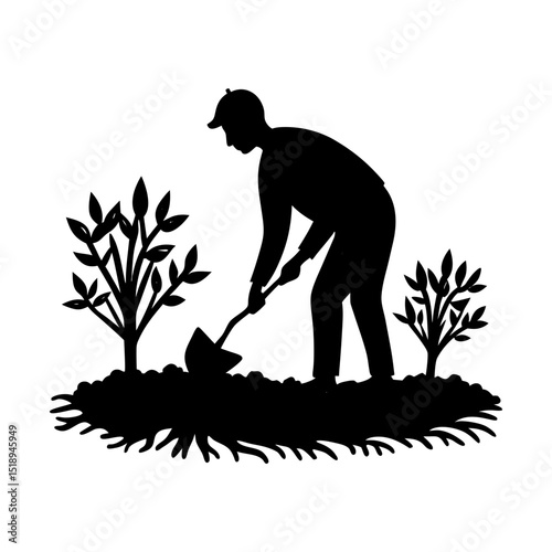 Silhouette gardener planting new trees
