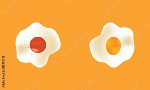 fried egg vector illustration isolated on white background, omelet illustration
