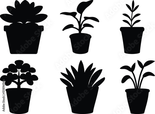 Black silhouette illustration of assorted houseplants in pots against a white background