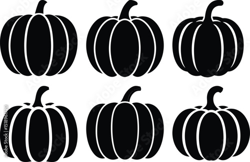Elegant black and white pumpkin arrangement for Halloween and autumn designs