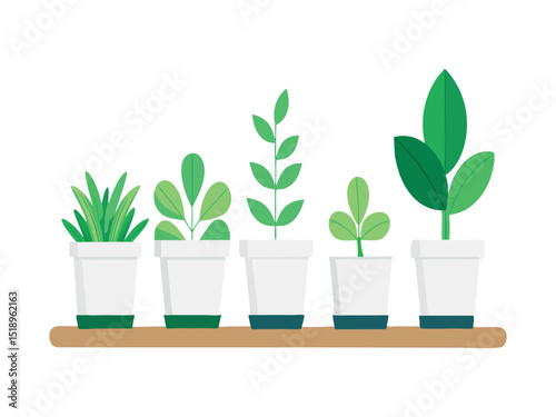 set  potted plants on shelf isolated on white background
