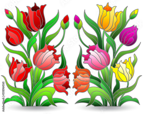 A set of stained glass illustrations with compositions of tulips, flowers isolated on a white background