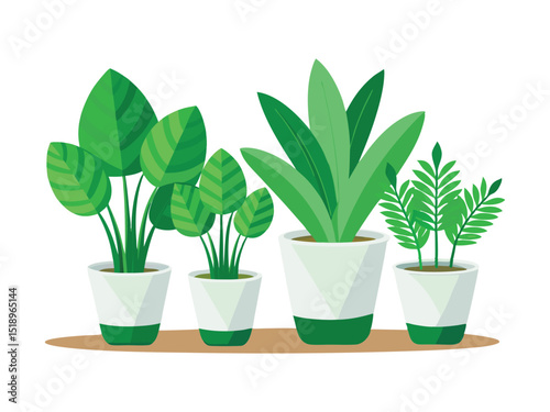 Four potted plants illustration isolated on white background
