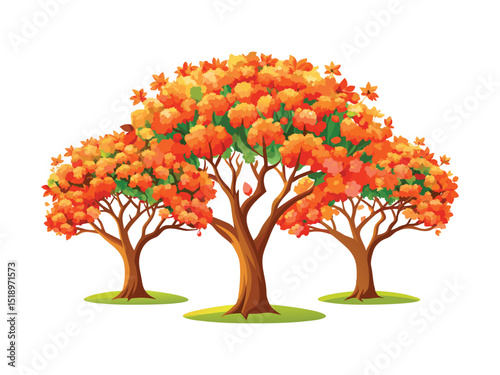 Three orange blossom trees isolated on white background

