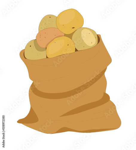 potatoes in sacks. Burlap sack with potatos. 
