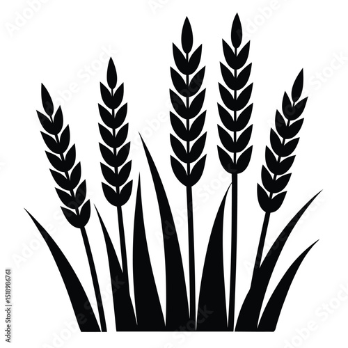 Illustration of Five Wheat Stalks with Leaves in Black and White Design