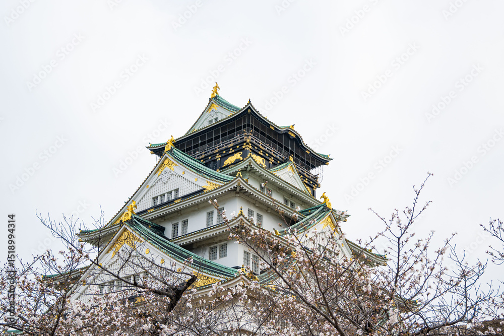 Fototapeta premium The building exterior of the beautiful acient Osaka Castle framed by pink flowers of cherry trees outdoor at daytime during spring in sakura season in Osaka in Japan.