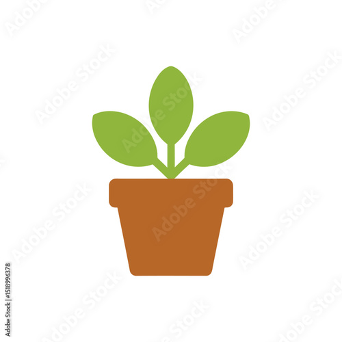 Simple of a Potted Plant with Green Leaves Against White Background