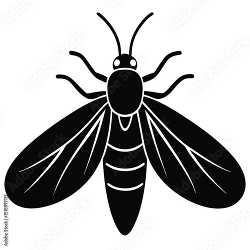 Close-up vector illustration of a housefly on a white background, isolated as an insect pest
