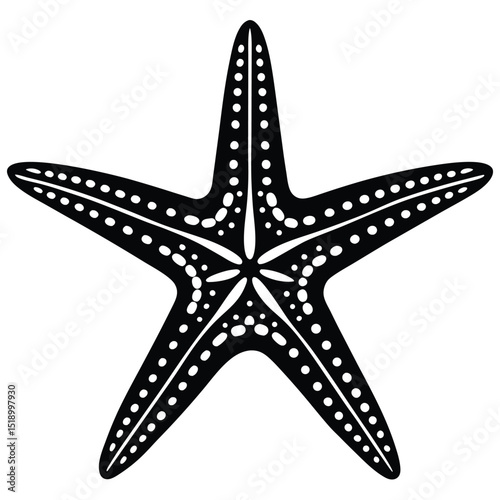 Brittle star outline marine animal illustration for design
