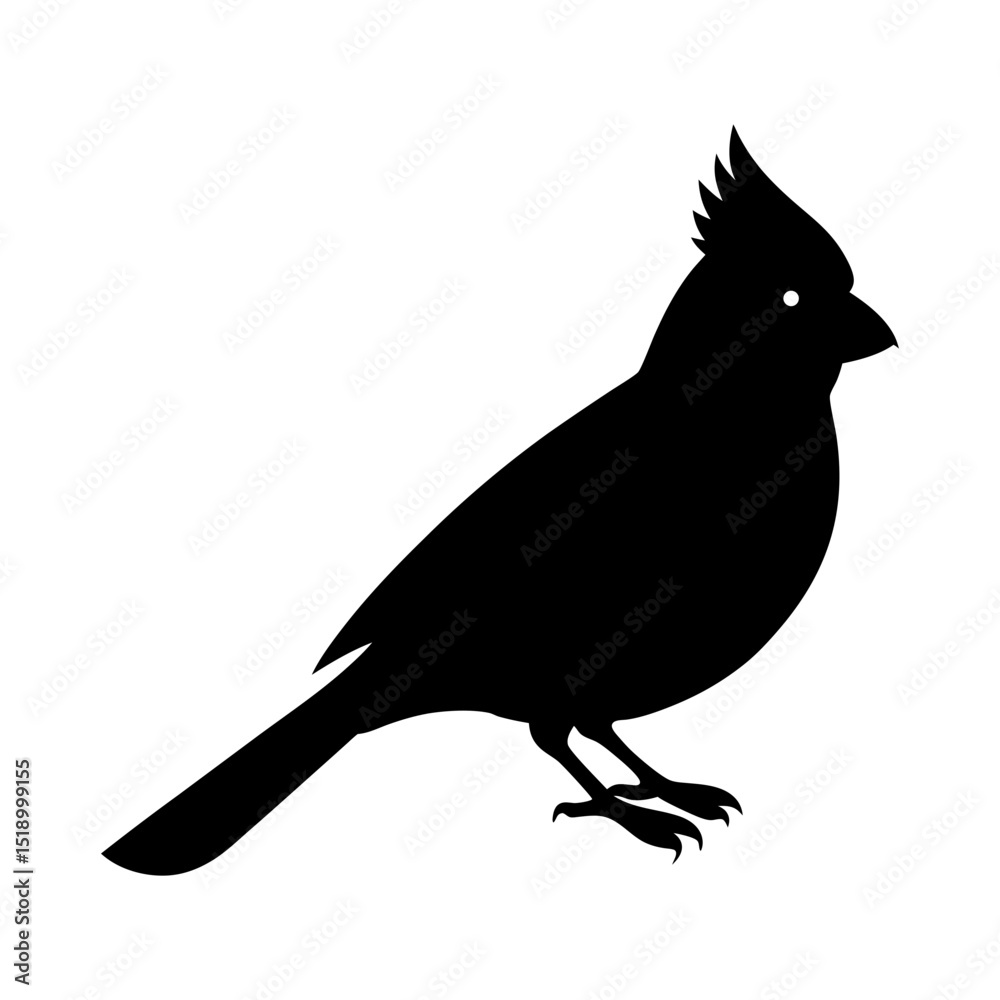 Silhouette of a cardinal bird with a crest standing on its feet side view Silhouette of a cardinal bird with a crest standing on its feet side view