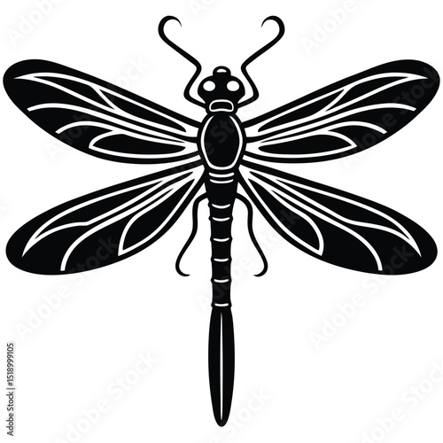 Damselfly illustration on white background