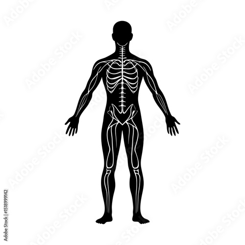 Black silhouette of a human body with visible bones and nerve system