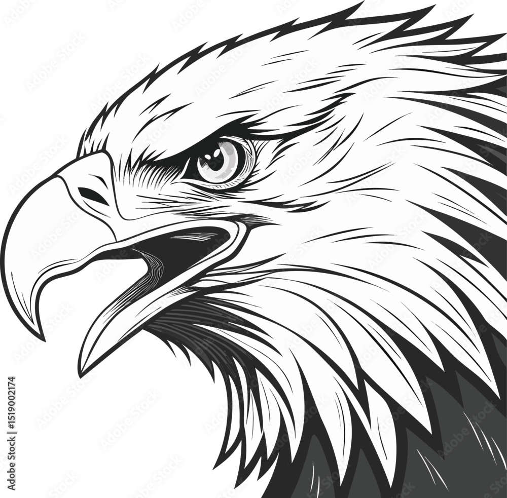 Obraz premium american bald eagle