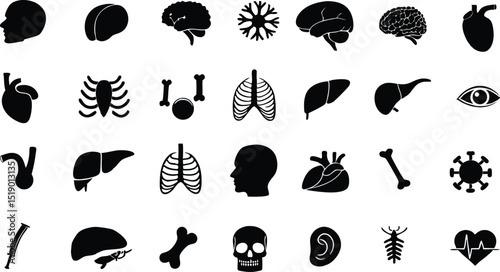 Stylish Anatomy Icons Ribcage Skull Ear Design Elements for Branding and Logos