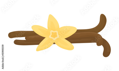 Vanilla pods. Vanilla flavor symbol.