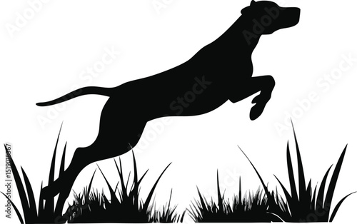 Dog jumping in grass silhouette isolated on transparent background