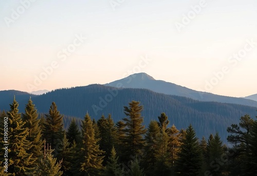 Panoramic horizontal view of layered pine trees on a mountain, ideal for nature, hiking, or Christmas backgrounds,  scenic,  woods
