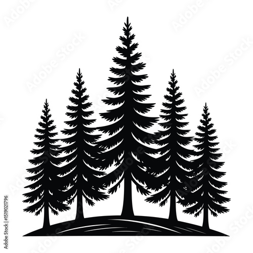 Christmas trees set isolated on white background

