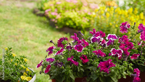 Wallpaper Mural Colorful flower pots brighten a lush garden during a sunny day in springtime Torontodigital.ca