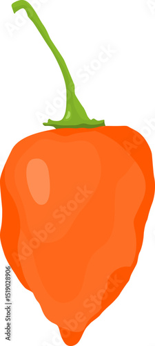 Habanero Pepper