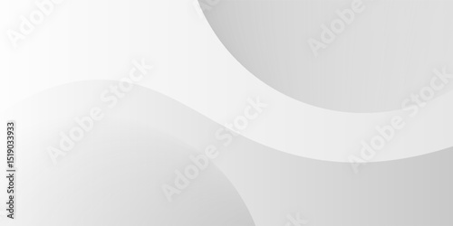 Abstract minimalist white and gray curve modern background. texture white pattern. vector illustration