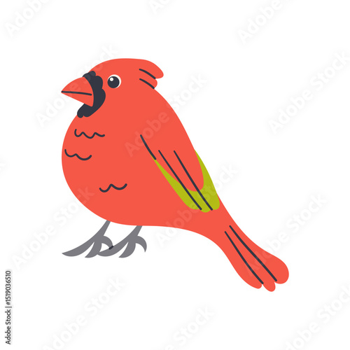 Exotic tropical bird. Vector illustration in flat design. Fauna of South America. Flying colorful bird for icons, posters, children books. Jungle bird hand drawn illustration .